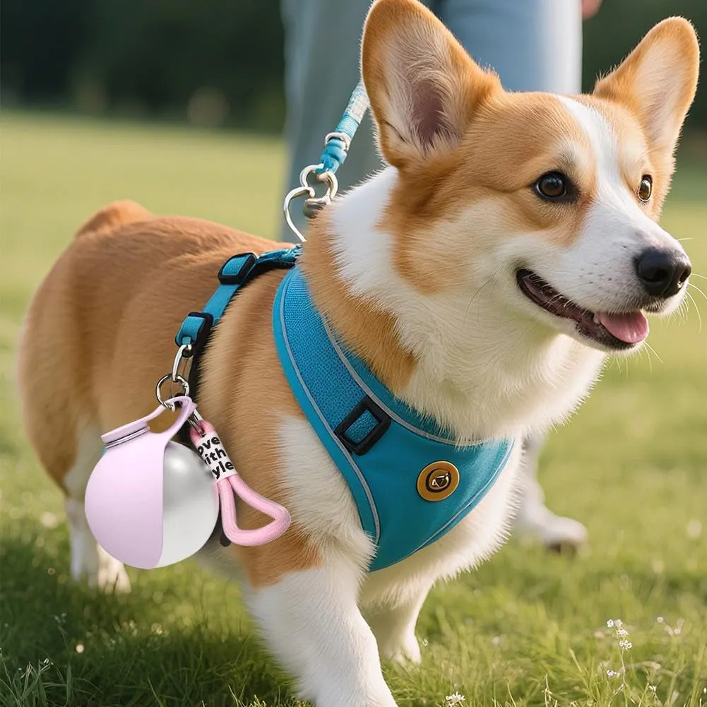 Dog wearing harness with Dog Water Ball attached
